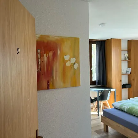 Bellevue Otel Sierre